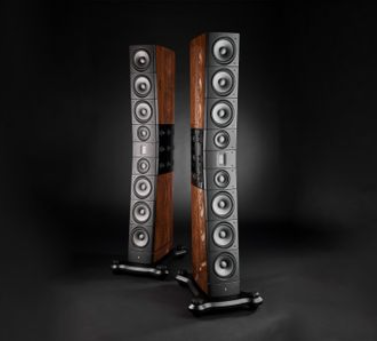 Raidho D5.1